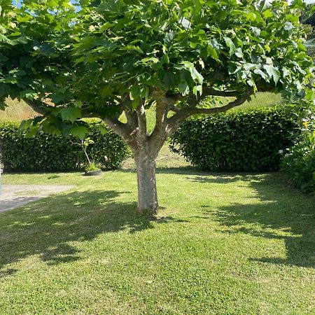 Moradia Rustica Jardim Villa Caloura Exterior foto